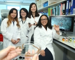 (右起) 陈洁瑜教授及其研究团队成员罗巧君、吴佩琳以及梁可然发现微胶粒(胶樽内)对多毛虫(培养皿上)及船螺的影响。 - 香港科技大学